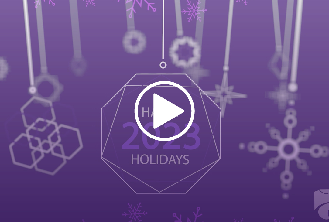 Holiday video