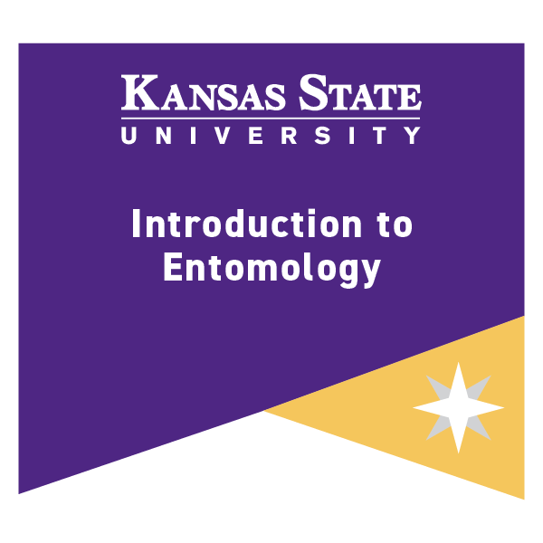 Alt text = Link. Image of decorative badge links to Introduction to Entomology information page. Alt text = Link. Image of decorative badge links to Introduction to Entomology information page.